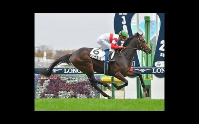 共同通信杯の狙い目は、信頼度が高まる「過去データ」が示す３パターンから浮上した穴馬４頭