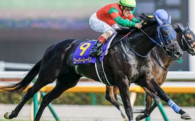 【京都記念予想】有力馬が余裕残し!? ユーバーレーベン中心も「あの馬」は見極めてから…