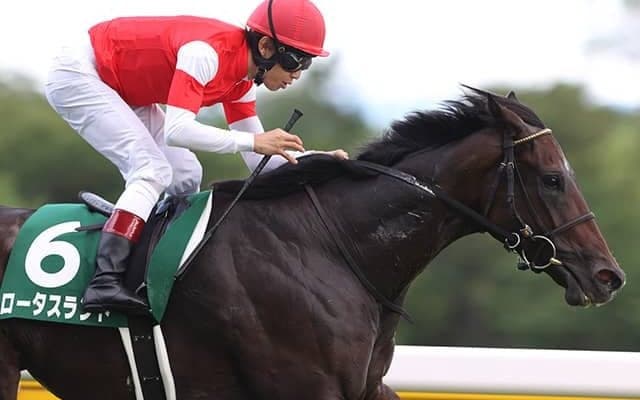 【京都牝馬S想定】昨夏のマイル王ロータスランド、リステッド2勝ドナウデルタなど18頭