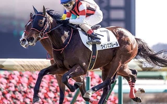 【クイーンC予想】ノーザンファームだけじゃない!? 社台グループが圧倒！/JRAレース展望