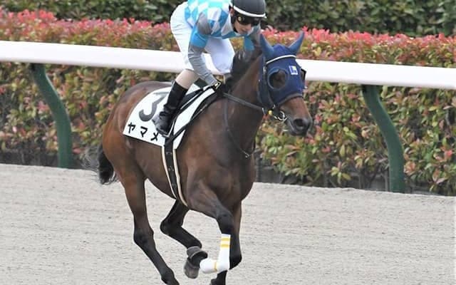 【東京12R】単勝54940円ヤマメがV！中央競馬歴代3位の単勝高額配当