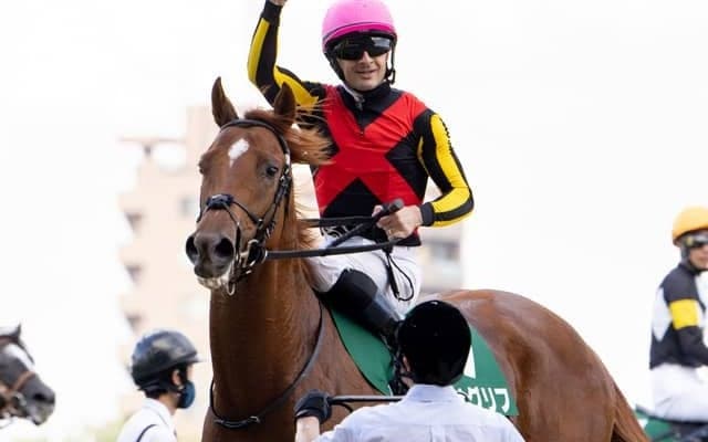 【共同通信杯前日オッズ】ジオグリフが2.9倍で1番人気、アサヒが3.9倍で続く