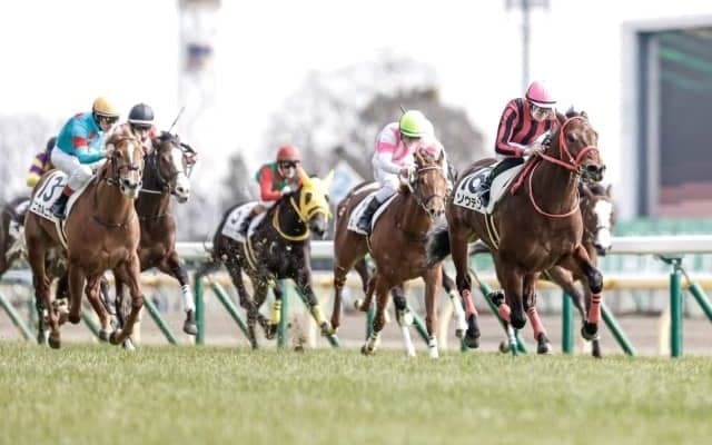 【共同通信杯】土曜時点では瞬発力タイプの活躍が目立った/万哲の馬場予報