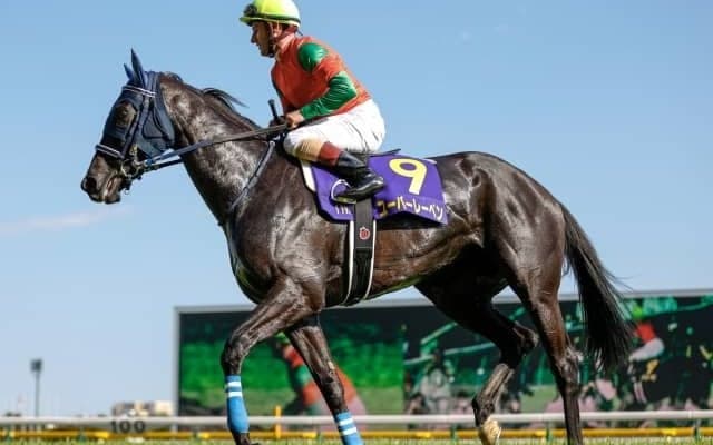 【WIN5予想】京都記念はGIで好走したことのない馬が不振