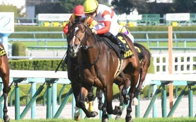 【共同通信杯予想】やはり前走勝利馬が優秀、しかも妙味も!?/JRAレース展望