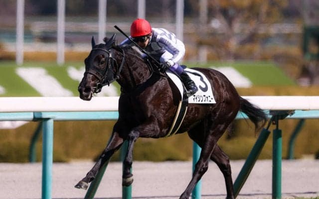 【阪神5R】良血マイシンフォニーが初勝利