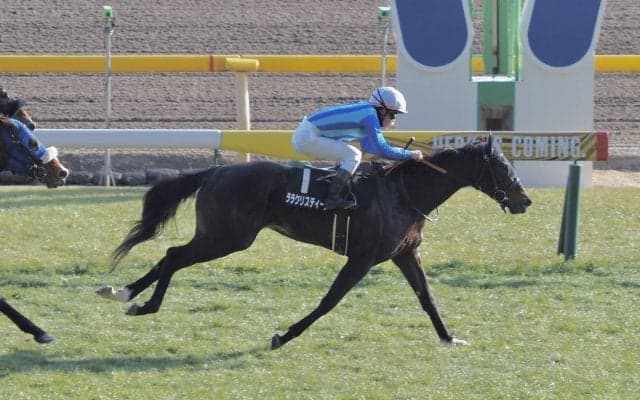 【雲雀S】ミッキーアイル産駒 ララクリスティーヌが4勝目