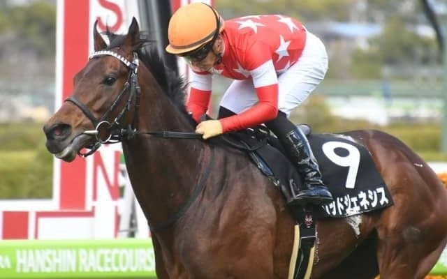 【今日の注目ポイント】阪神で京都記念、東京では共同通信杯