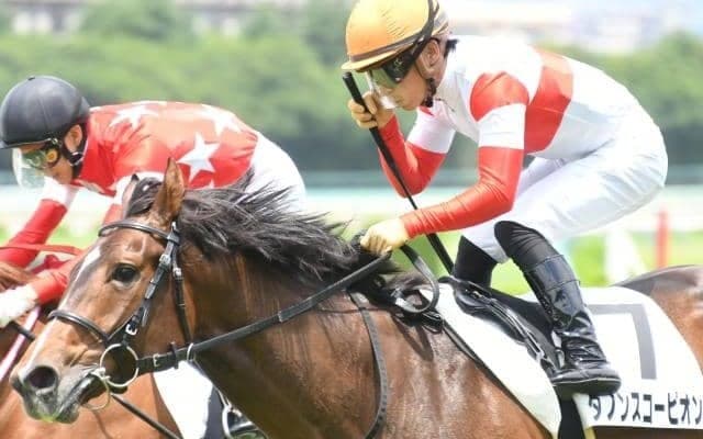 【共同通信杯予想】過去10年、上位3着馬から皐月賞馬やダービー馬を送り出している出世レース