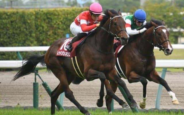 【京都記念予想】今後の大阪杯、宝塚記念を占う見逃せない1戦