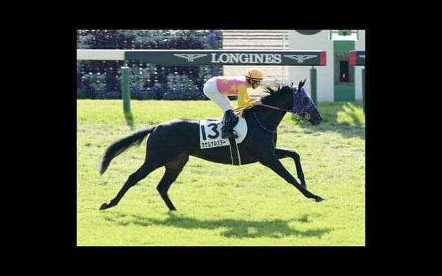 共同通信杯で要注目の地力ある２頭。前走の重賞で力を発揮できずも巻き返しはある