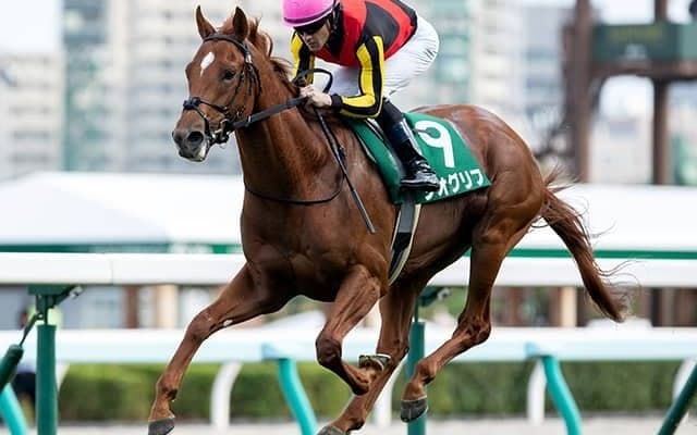 【共同通信杯予想】単勝狙うならば4・6番人気馬？　今年の人気馬2頭にはローテの壁あり？