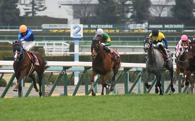 【JRA・WIN5】京都記念で12番人気が勝利し配当は985万4270円に