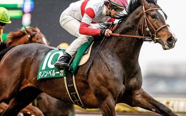 ダノンベルーガがデビュー2連勝！エルコンドルパサー、エフフォーリアらに続き無敗の共同通信杯覇者に