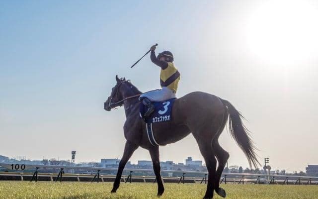JRAは土日に4重賞　注目は今年最初の中央GI・フェブラリーS/今週の競馬界の見どころ