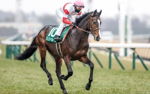 【共同通信杯】売上は58億6079万8800円で昨年からおよそ1.5億円の増加