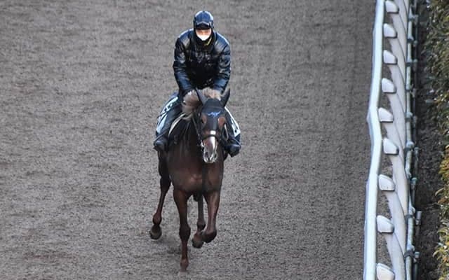 【ダイヤモンドS想定騎手】ヴェローチェオロは戸崎圭太騎手、レクセランスは横山武史騎手