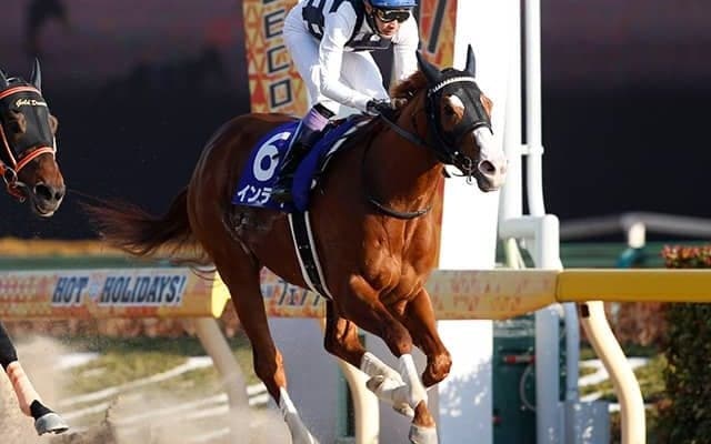 【AI予想・フェブラリーS】7連勝の輝き再び!? 超豪華ダート頂上決戦で古豪スピードスターの復活なるか