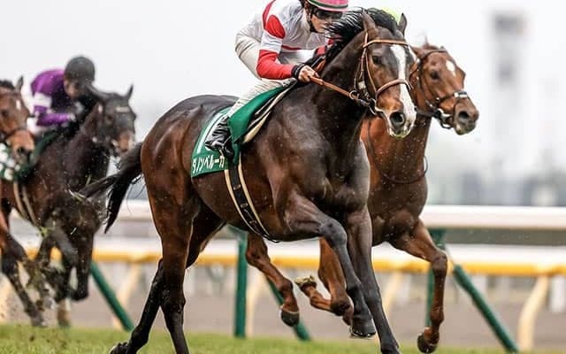 ケチのつけどころが見当たらない優等生 ハーツクライ産駒からまた1頭クラシック候補が誕生