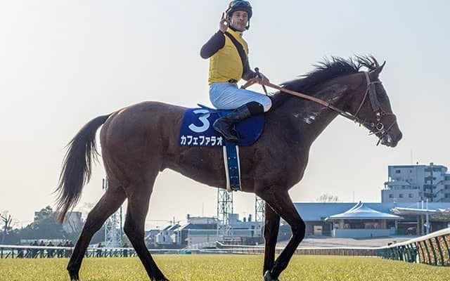 【フェブラリーS想定騎手】カフェファラオは福永祐一騎手、レッドルゼルは川田将雅騎手