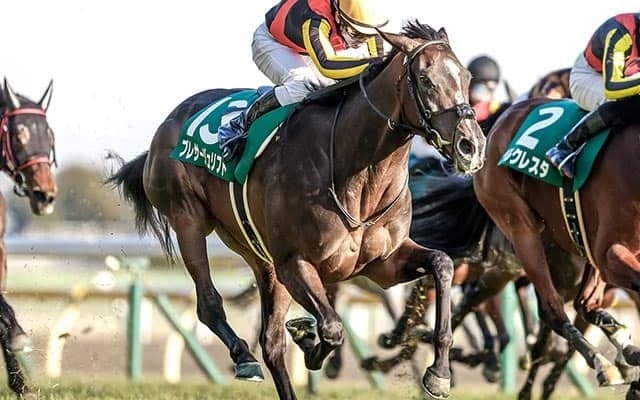 成功例多数のニックス 将来性感じる大器のハービンジャー産駒