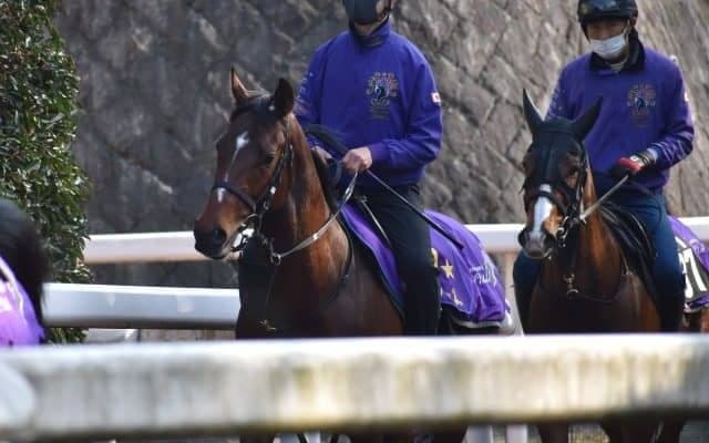 ドウデュースなど、先週の入厩情報/栗東トレセンニュース