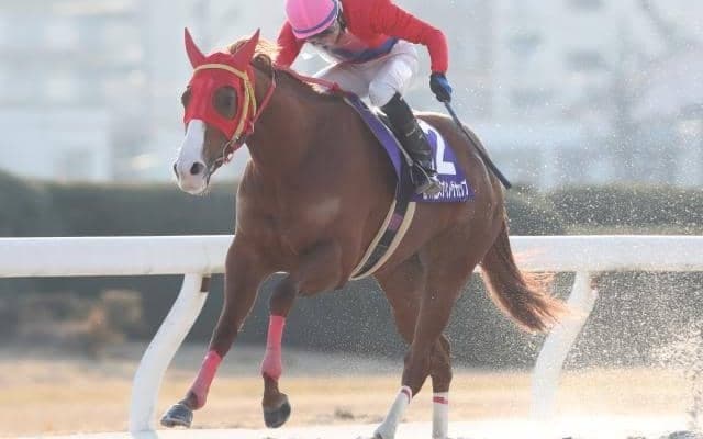 【名古屋・スプリングC結果】アップテンペストが逃げ切って重賞連勝