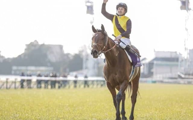 【フェブラリーS予想オッズ】昨年覇者カフェファラオが予想1番人気