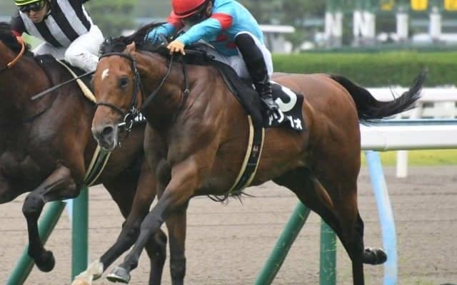 【小倉大賞典予想オッズ】アリーヴォが予想1番人気