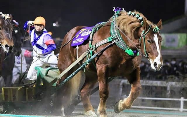 相次いだ有力馬の引退、そして死亡… 世代交代進んだ今シーズンのばんえい競馬