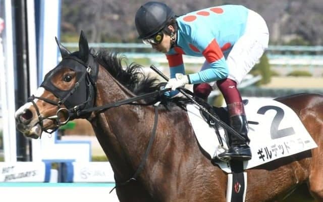 【京都牝馬S予想オッズ】ギルデッドミラーが予想1番人気