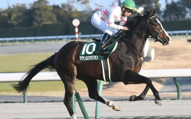 【次走】シンザン記念覇者マテンロウオリオンはニュージーランドTからNHKマイルCを予定