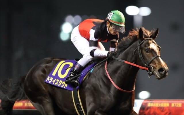 【次走】ドライスタウトは兵庫CSを視野に　無傷3連勝で全日本2歳優駿制覇