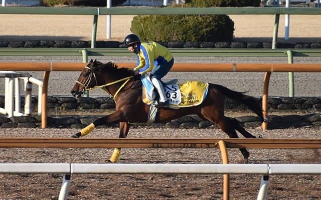 クリンチャー、名古屋大賞典3週前追い切り速報/栗東トレセンニュース