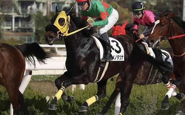 YouTuberヒカルの所有馬が初勝利！ デビュー2戦目、地元・姫路で快哉