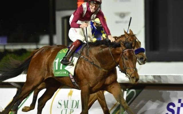 【サウジカップ想定】6か国から14頭が出走　11頭がG1馬の豪華メンバー