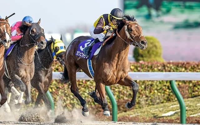 【フェブラリーS展望】好走条件に合うあの馬の巻き返しを期待したい