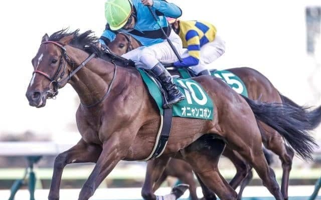 【次走】京成杯覇者オニャンコポンは皐月賞へ
