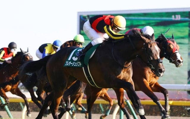 【クイーンC】プレサージュリフトがデビュー2連勝