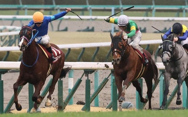 【京都記念】アフリカンゴールドが逃げ切って波乱