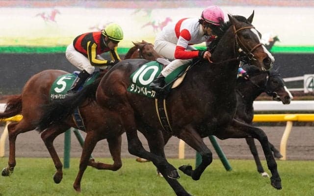 【共同通信杯】ダノンベルーガがデビュー2連勝