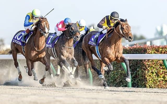 【フェブラリーS 調教後馬体重】カフェファラオは523kg、レッドルゼルは502kg