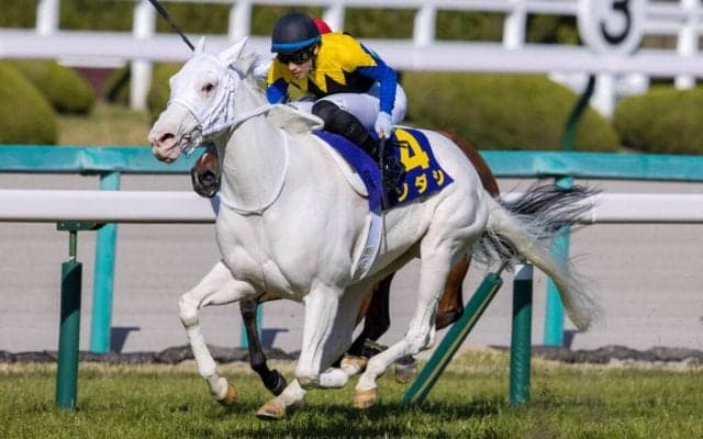 【フェブラリーS】出走馬の調教後の馬体重