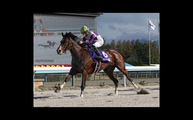 豪華メンバー集結も激戦必至のフェブラリーＳ。トップジョッキーが乗る人気薄で一発狙い