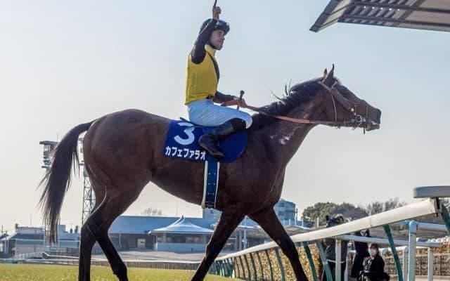 【フェブラリーS枠順確定】カフェファラオは3枠6番、レッドルゼルは3枠5番