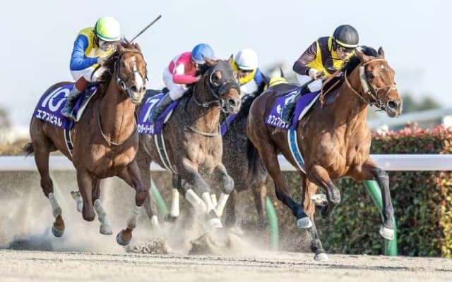 【フェブラリーS予想】コースの特徴から見る　注目穴馬3頭と人気でも押さえるべき馬3頭