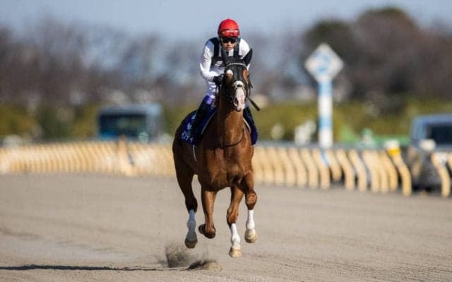 【武豊日記】今年最初のG1