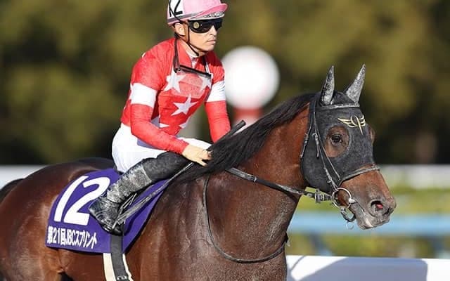 【フェブラリーS】レッドルゼル安田隆師「去年より一皮むけた感じ」/ねぇさんのトレセン密着