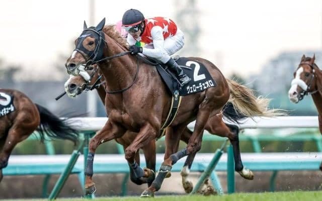 【今日の注目ポイント】東京でダイヤモンドS、阪神では京都牝馬S