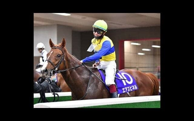 フェブラリーＳは本命不在の大混戦。年齢不安ない９歳馬が得意舞台で大激走の気配